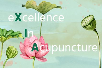 What XIA Stands For resource thumbnail
